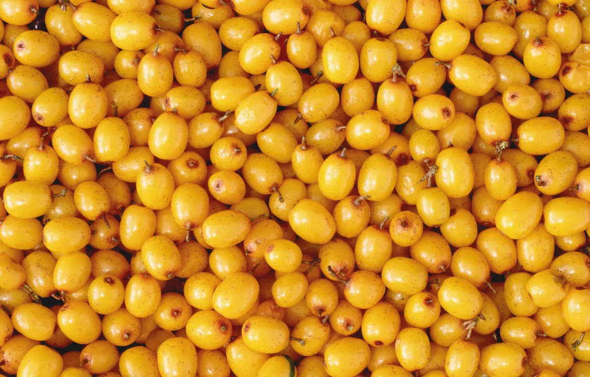 Фото: Jgcv46 / GoodFon.ru