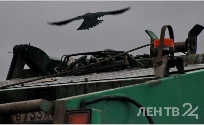    © Анастасия Илюшина / ЛенТВ24, архивное фото