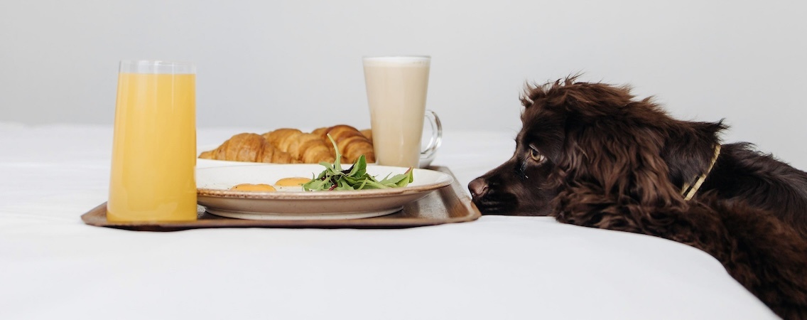 @Sadu Hotel Moscow, a member of Radisson Individuals