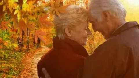 Картина из открытого источника сети Интернет.