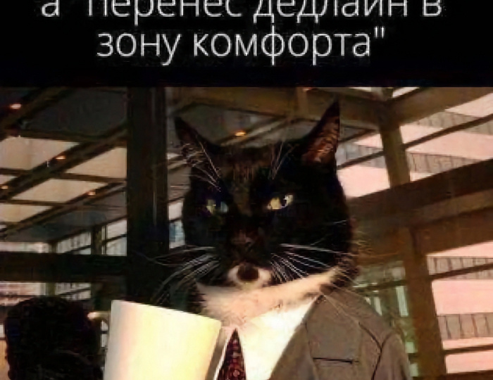 Процессы в редакции: как не скатиться в чайка-менеджмент?