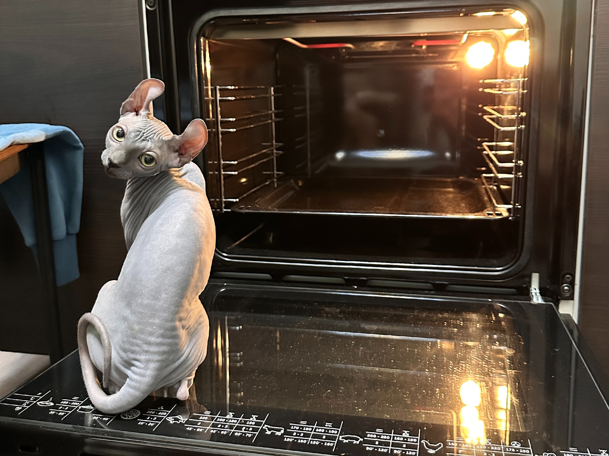 Один из первых случаев, когда мы решили "топить" духовкой