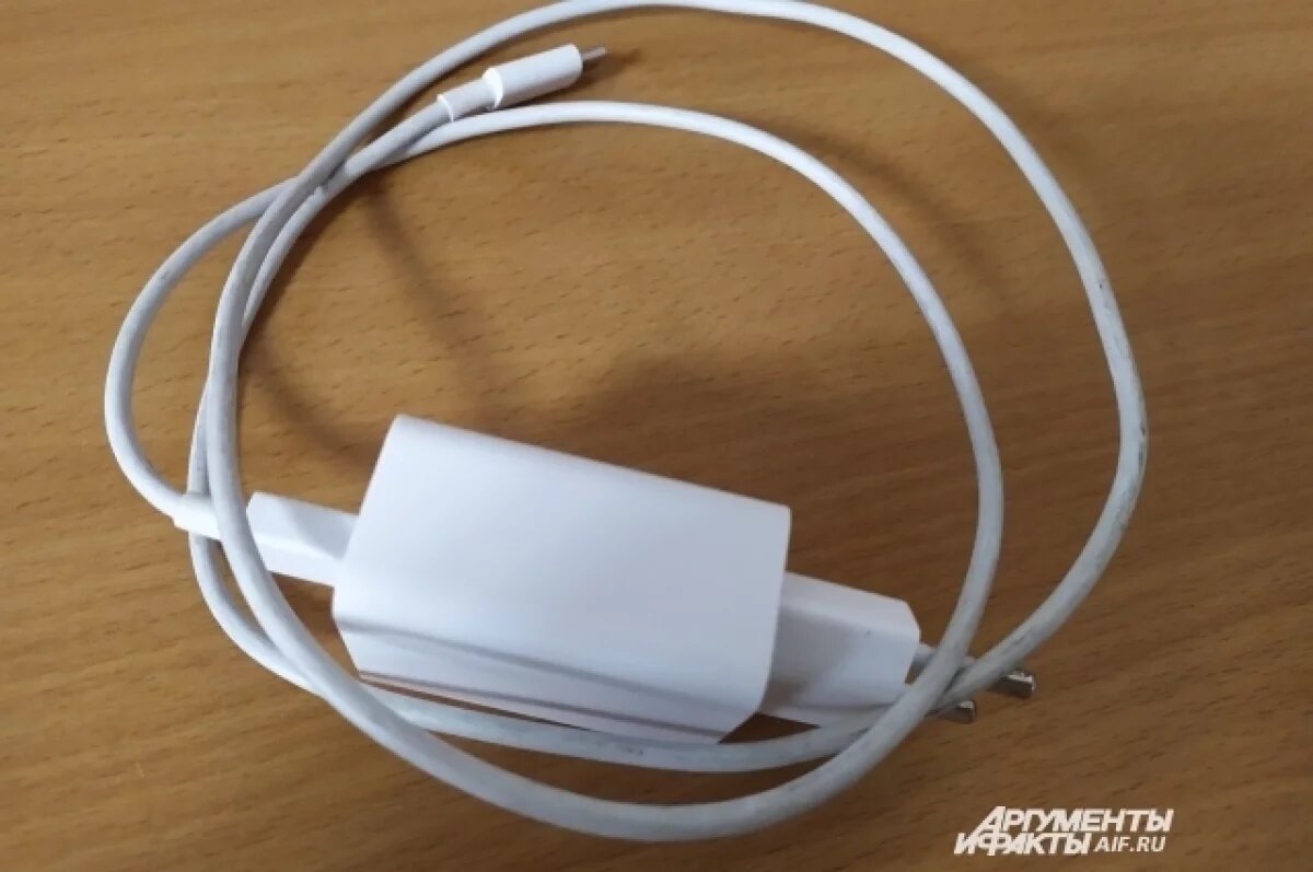    Сибиряк задушил жену зарядкой от телефона и спрятал тело в погребе