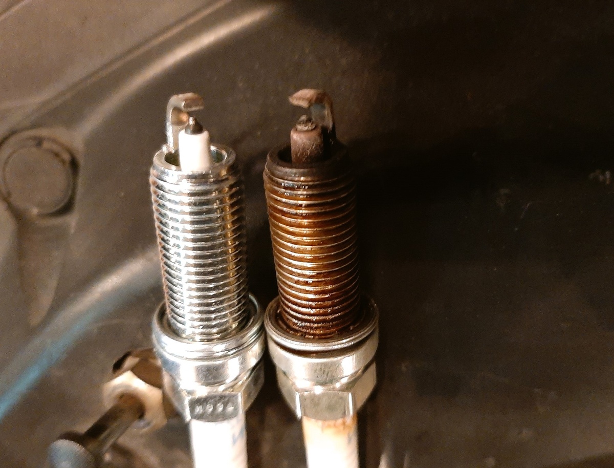 Источник Яндекс Картинки