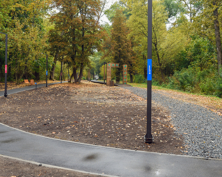     Курская область присоединилась к международной акции «10 000 шагов к жизни»