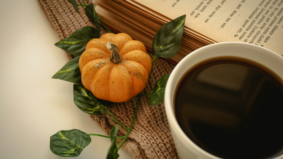 Photo by Ebru Yılmaz on Unsplash 