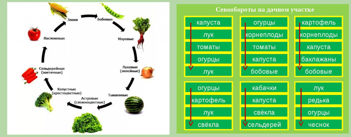 Севооборот