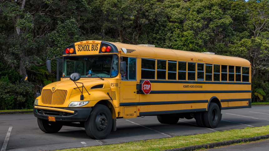    Фото: www.globallookpress.com/Erich Schmidt