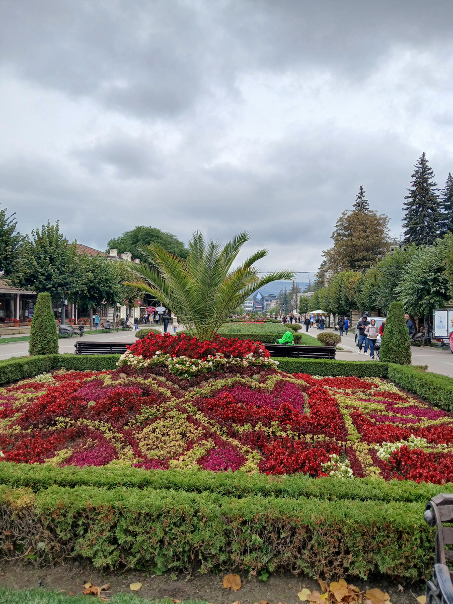 Фото моё как и все  другие. 29.09.2025г.