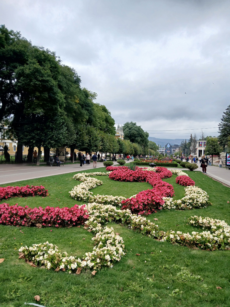 Фото 29.09.2025г.