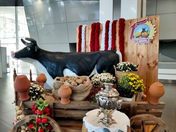    Фото: Югополис