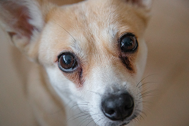    Сергей Булкин/NEWS.ru