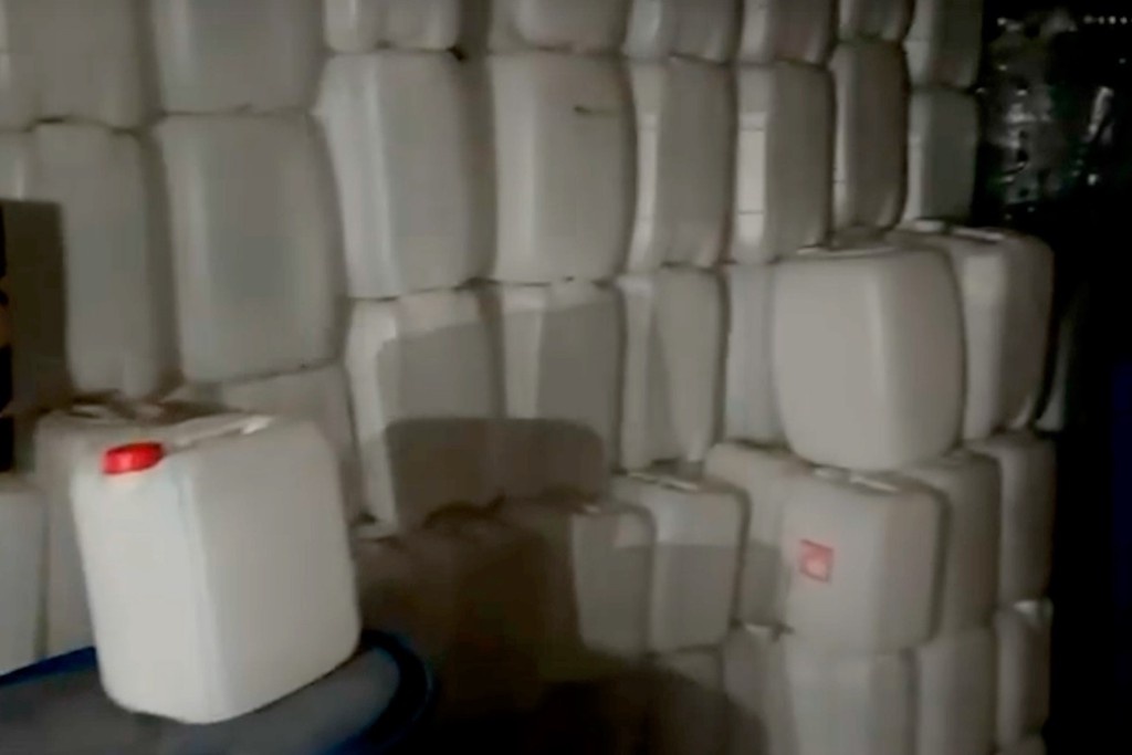    Фото © Telegram / Ирина Волк