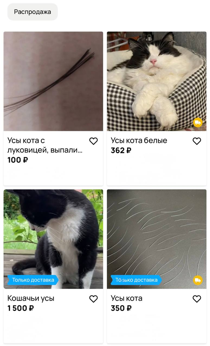 Скриншот с сайта объявлений