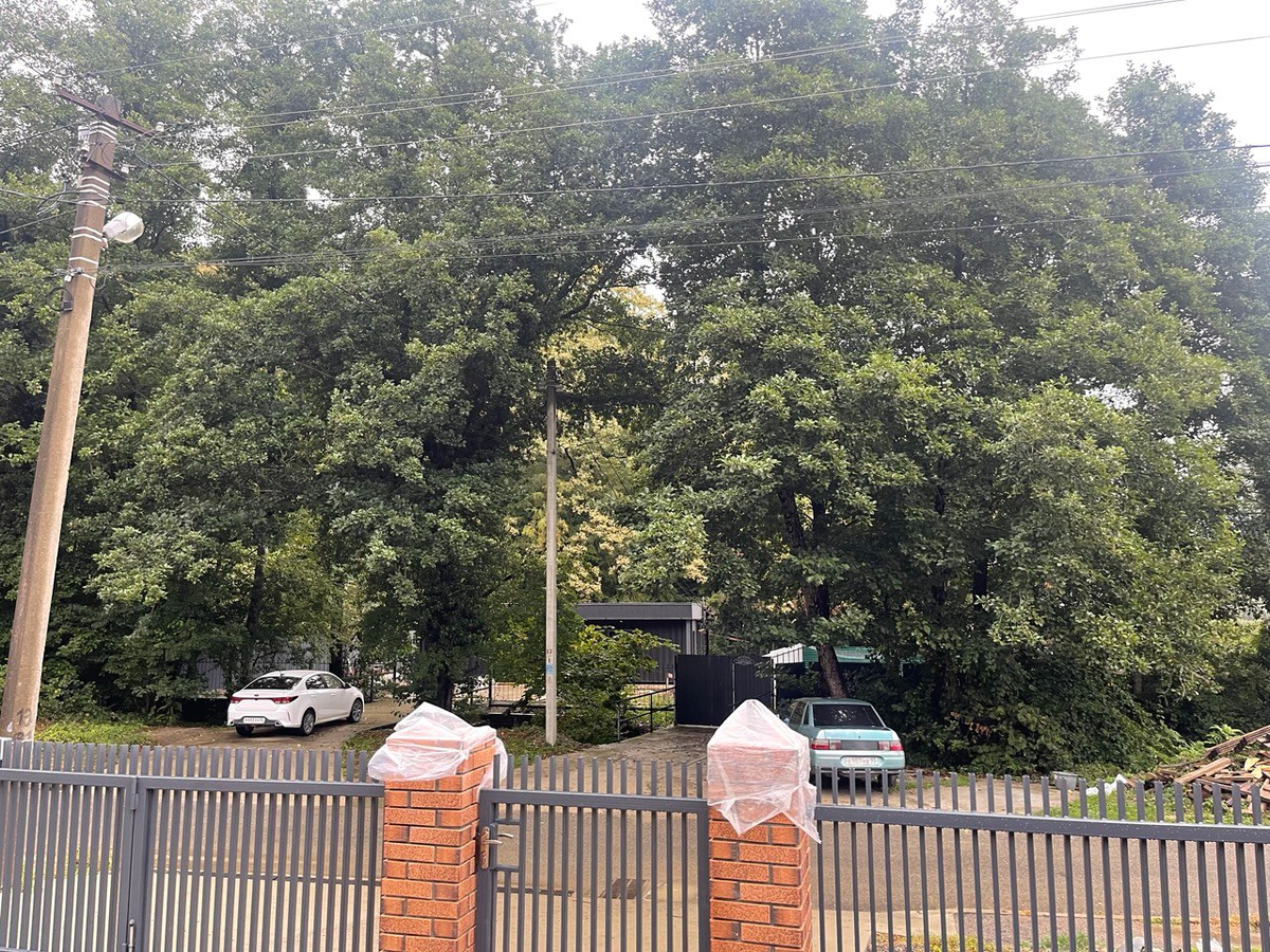 Вид через дорогу от моего дома