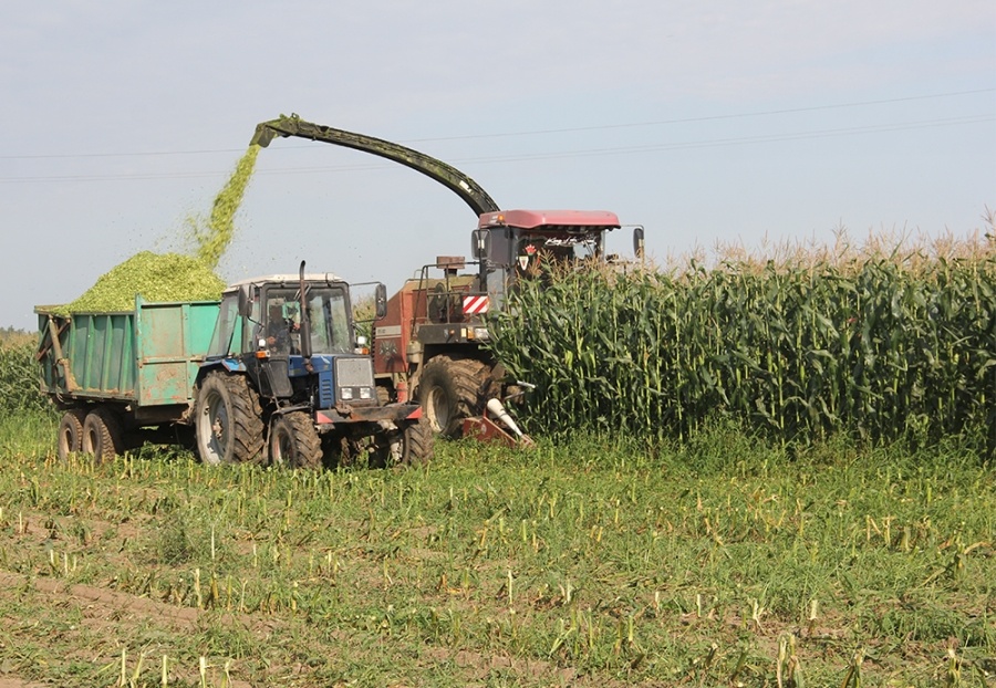     На полях Копыльщины - урожайные рекорды и подготовка к зиме