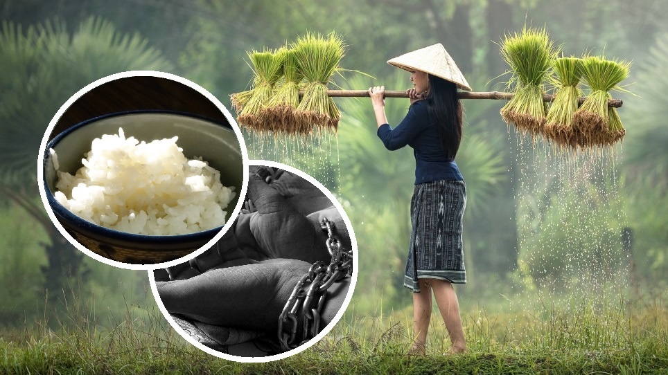 Фото: pxhere.com