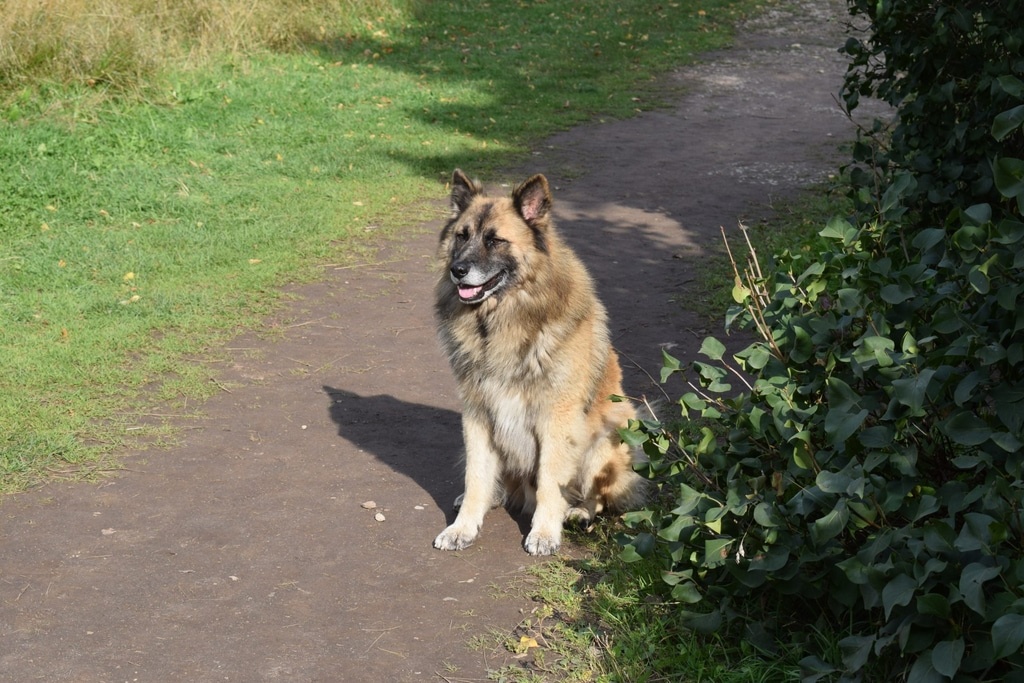 Словенские ключи в Изборске