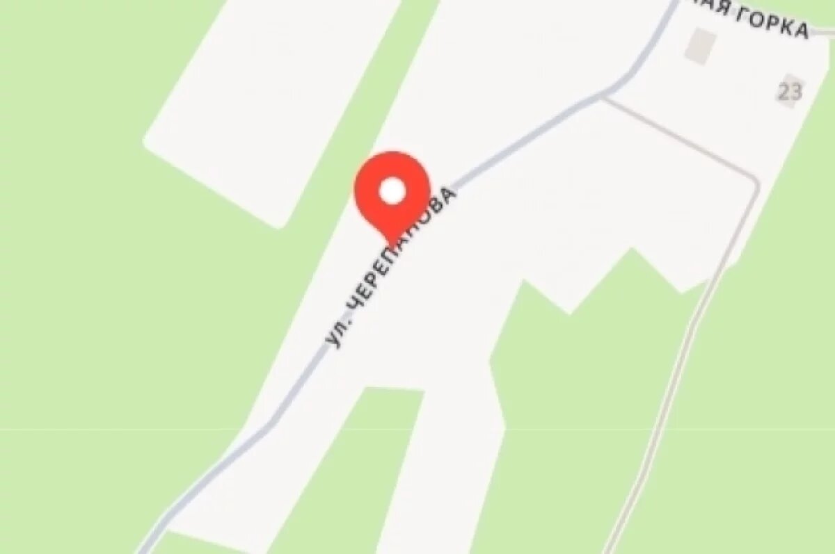    Глава Пскова рассказал об истории улицы Черепанова