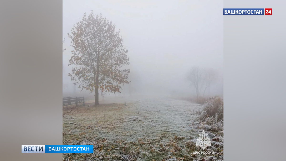    Жителей Башкортостана предупредили о ночных заморозках до -9 градусов