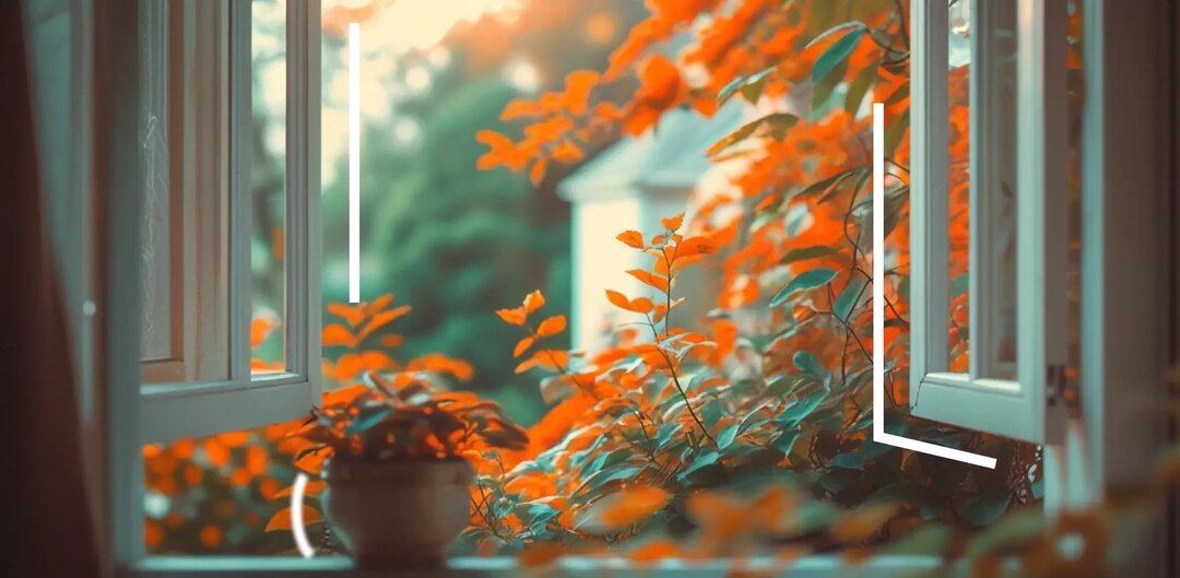 Как обрезать виноград на зиму: пошаговое руководство