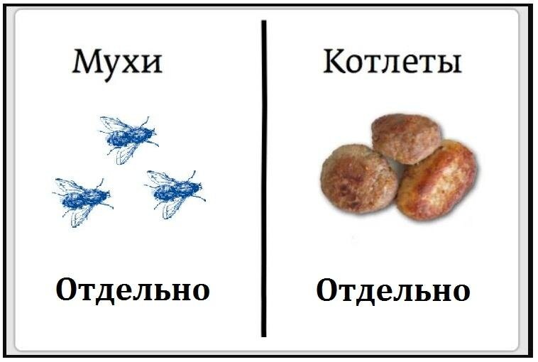 Чем поговорка отличается от пословицы: объясняю кратко и понятно