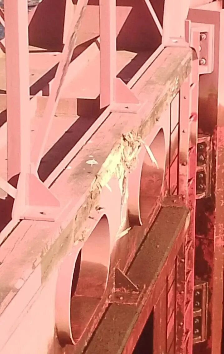    Фото: пресс-служба транспортной полиции по СЗФО