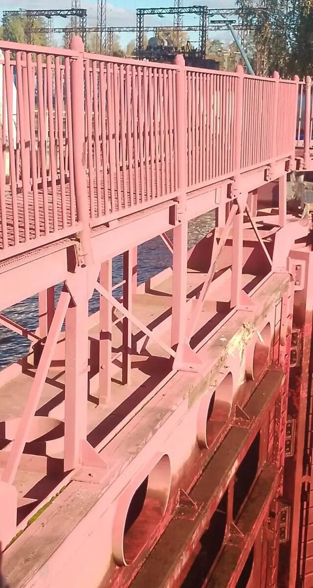    Фото: пресс-служба транспортной полиции по СЗФО