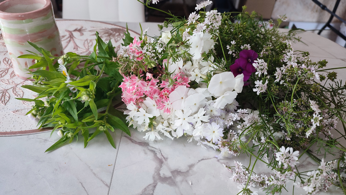 Кандидаты на осенний букет. Скоро заморозки, поэтому надо ловить момент