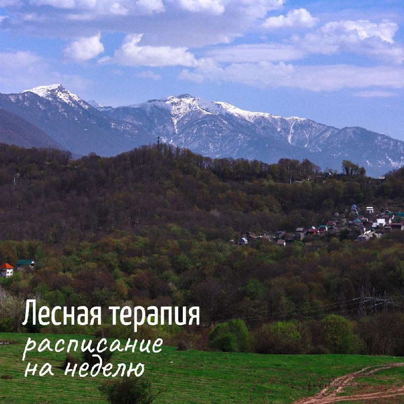 Лесная терапия на неделю в Сочи