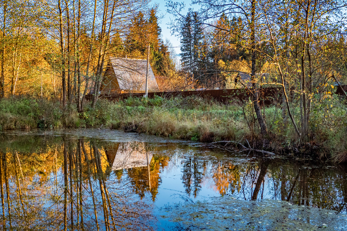 фото:Konstantin Kokoshkin/Global Look Press