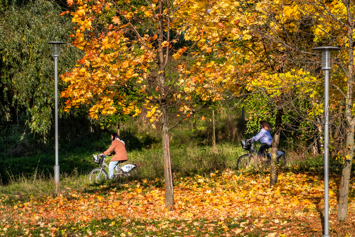 фото:Konstantin Kokoshkin/Global Look Press