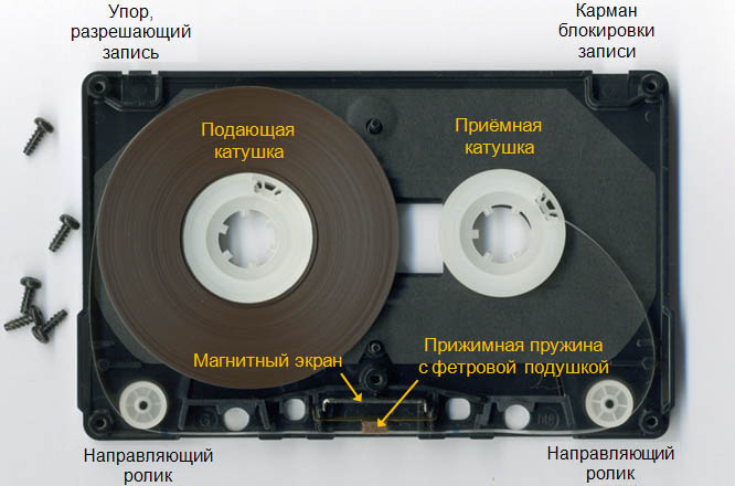 Фото: Википедия