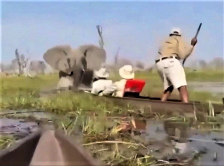     / Источник: Кадр из видео