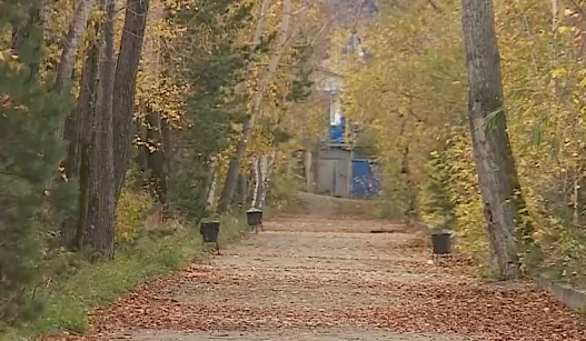     Ночные заморозки в Красноярске и центральных районах не отступят в ближайшие дни