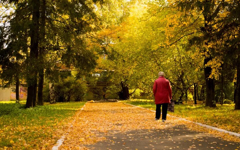    Стас Михайлов вынужден ждать автобус в Ижевске, квартиры на Пушкинской без отопления, мусорный город: что обсуждают ижевчане в соцсетях 29 сентября