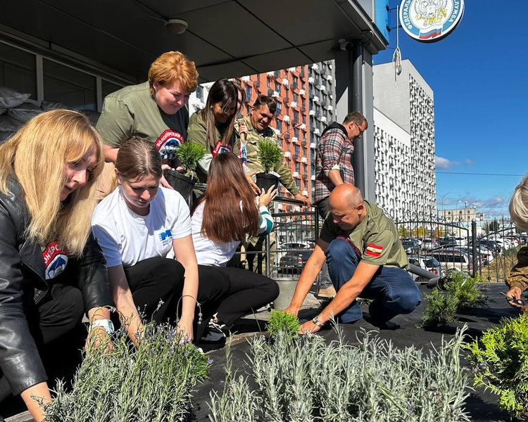     В Курской области подвели итоги экологического субботника «Зеленая Россия»