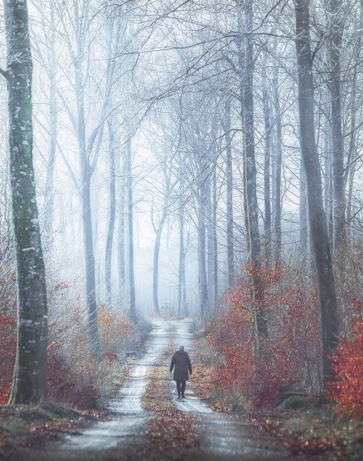 Из открытого источника. 