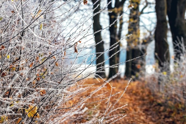 Из открытого источника. 