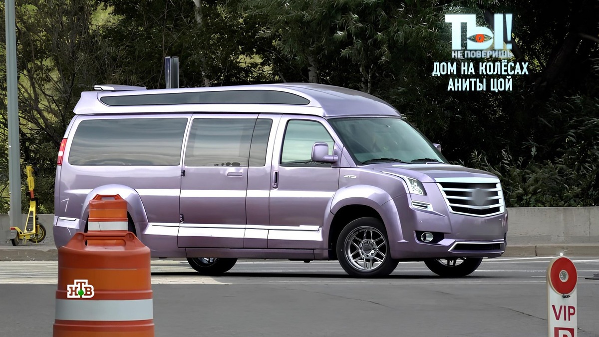    Анита Цой получила минивэн в подарок от мужа в честь 35-летия свадьбы