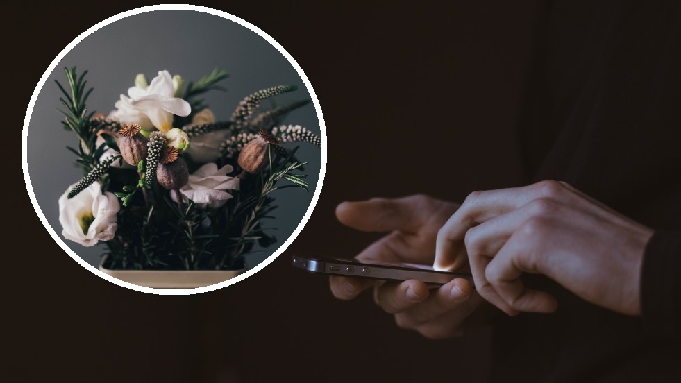 Фото: pxhere.com