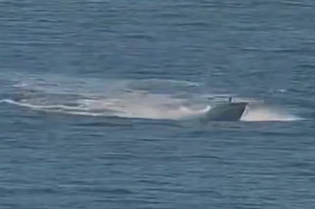    Дандыкин: ВС РФ захватили в море беспилотный катер-матку с десятками дронов