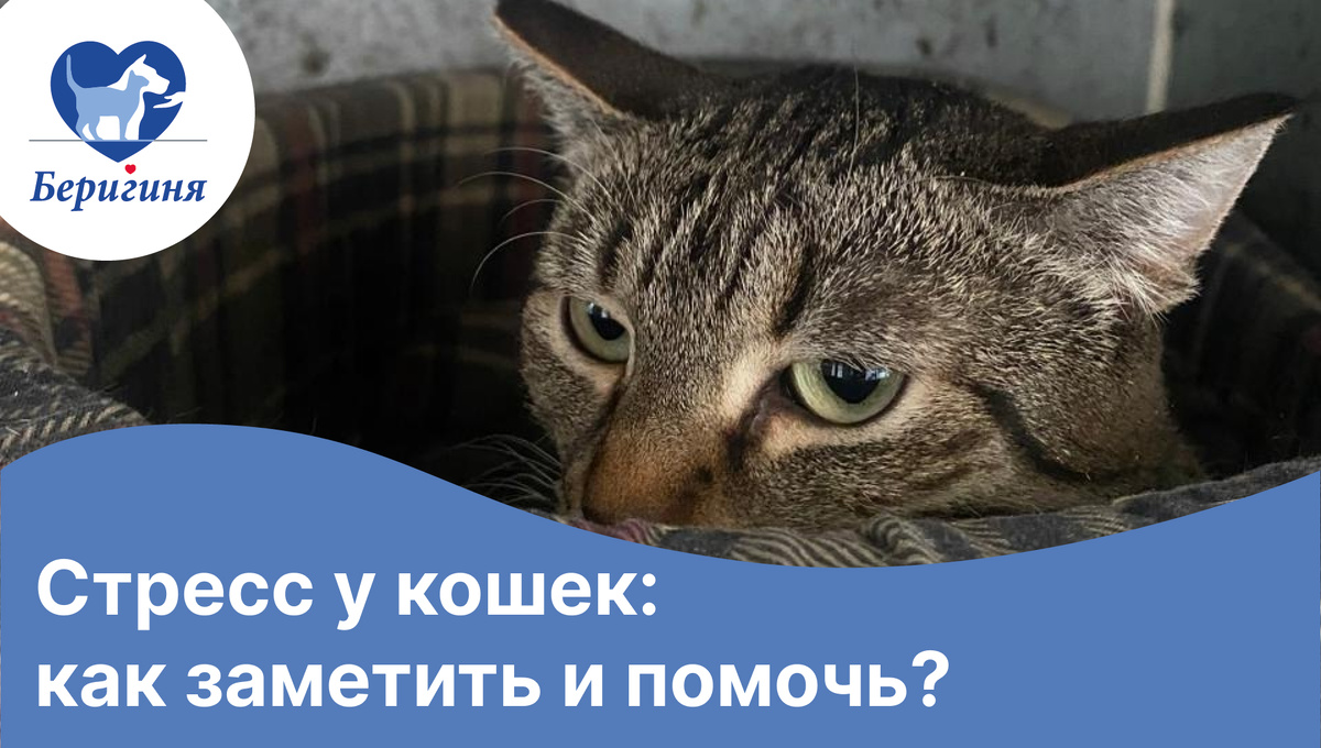 #берегиня_Маша