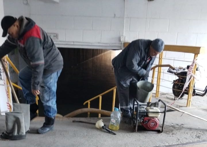    Фото: БУ г. Омска «ЭОВБ»