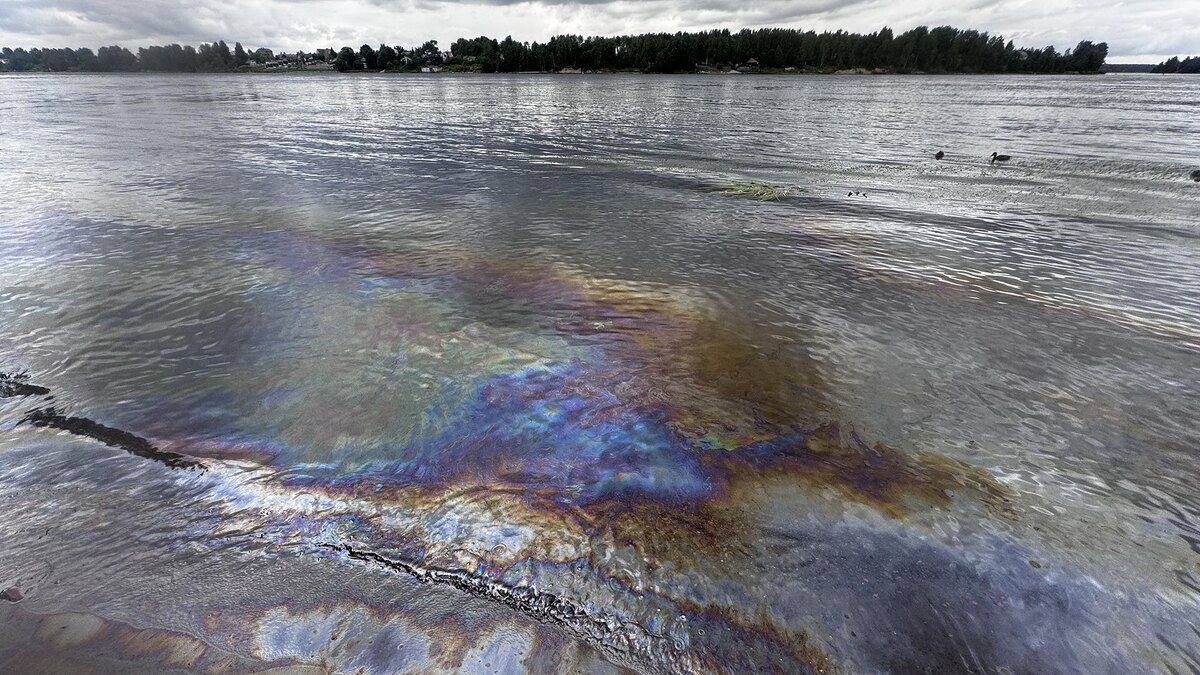    Фото: пресс-служба Росприроднадзора СЗФО