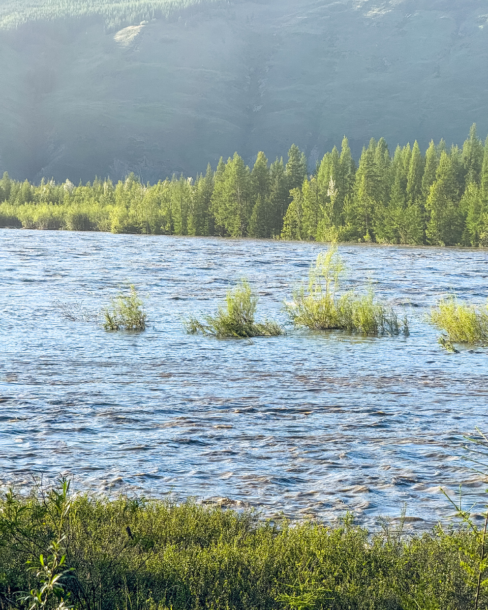 Реки разлились 