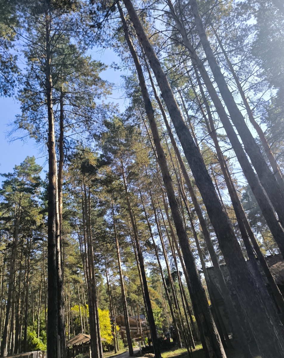 Все фотографии в  статье авторские
