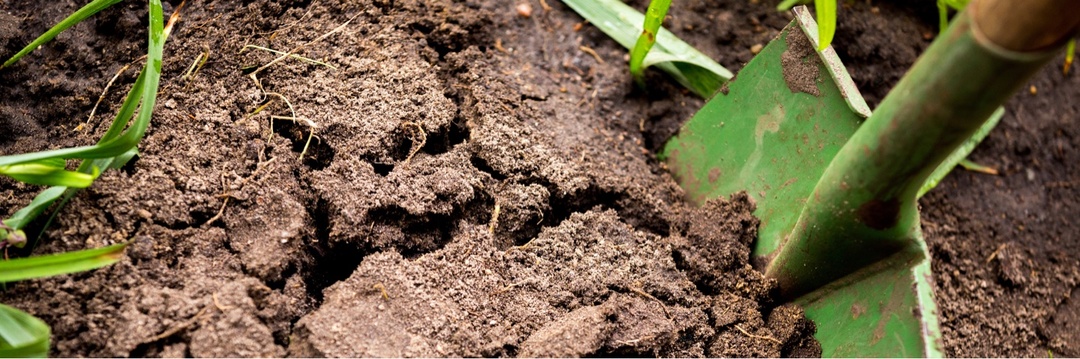 Почвы бывают разные. Как подкислить щелочные?