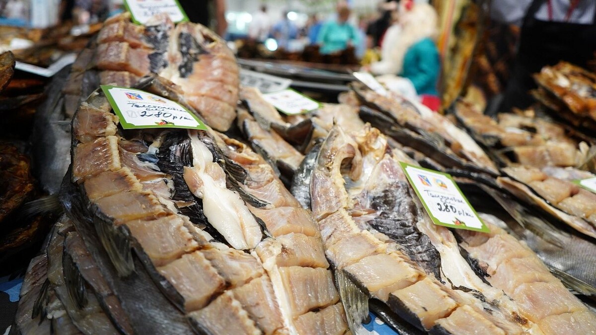    Фото: телеканал «Краснодар»