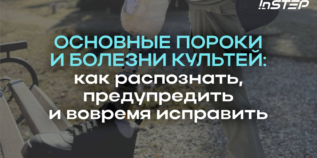 Основные пороки и болезни культей: как распознать, предупредить и вовремя исправить